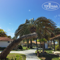 фото из отзыва ID 2320065