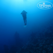 фото из отзыва ID 2320882