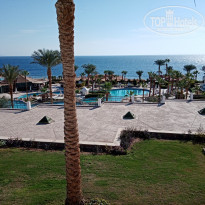 фото из отзыва ID 2320882