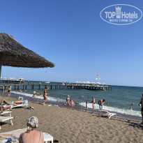 фото из отзыва ID 2320910