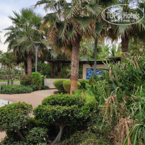 фото из отзыва ID 2320860