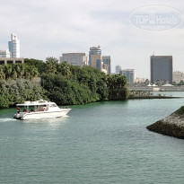 фото из отзыва ID 2320860