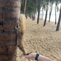 фото из отзыва ID 2320976