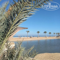 фото из отзыва ID 2321155