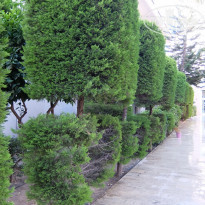 фото из отзыва ID 2321298