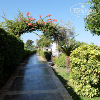 фото из отзыва ID 2321298