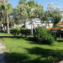 фото из отзыва ID 2321298