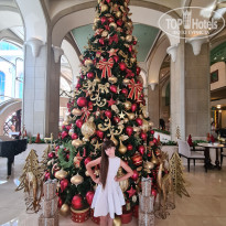 фото из отзыва ID 2321336