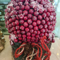 фото из отзыва ID 2321336