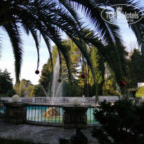 фото из отзыва ID 2321414