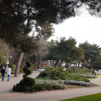 фото из отзыва ID 2321457