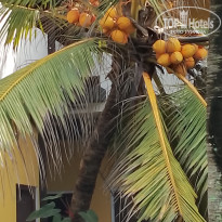 фото из отзыва ID 2321506