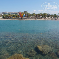 фото из отзыва ID 2321548