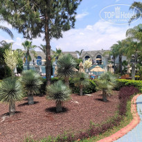 фото из отзыва ID 2321548