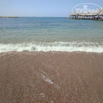 фото из отзыва ID 2321548