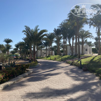 фото из отзыва ID 2321555