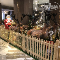 фото из отзыва ID 2321573