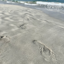 фото из отзыва ID 2321625