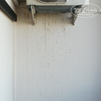 фото из отзыва ID 2321667