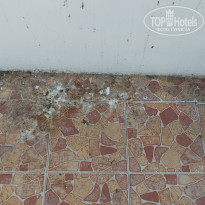 фото из отзыва ID 2321667