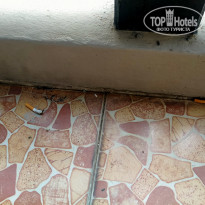 фото из отзыва ID 2321667