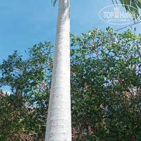 фото из отзыва ID 2321667