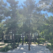 фото из отзыва ID 2321692