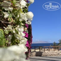 фото из отзыва ID 2321713