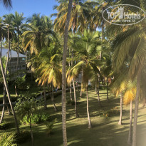 фото из отзыва ID 2321788