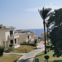 фото из отзыва ID 2321810