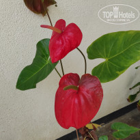 фото из отзыва ID 2321851