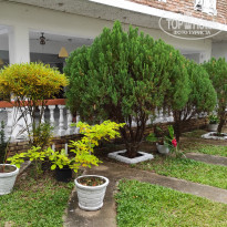 фото из отзыва ID 2321854