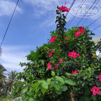 фото из отзыва ID 2321854