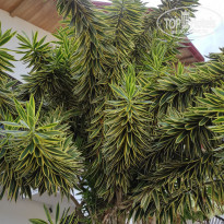 фото из отзыва ID 2321854