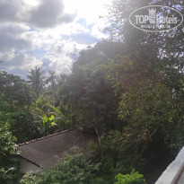 фото из отзыва ID 2321854