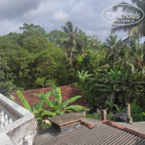 фото из отзыва ID 2321854