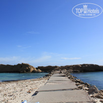 фото из отзыва ID 2321928