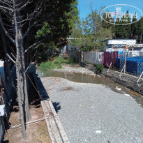 фото из отзыва ID 2321964