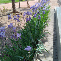 фото из отзыва ID 2321964