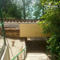 фото из отзыва ID 2321966