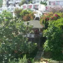 фото из отзыва ID 2322106