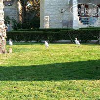 фото из отзыва ID 2322152