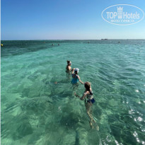 фото из отзыва ID 2322159