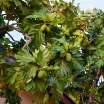 фото из отзыва ID 2322194