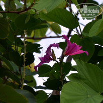 фото из отзыва ID 2322194