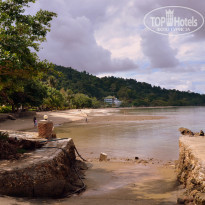 фото из отзыва ID 2322194