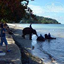 фото из отзыва ID 2322194