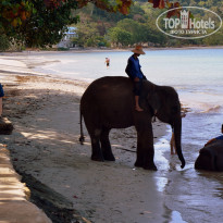 фото из отзыва ID 2322194