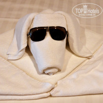 фото из отзыва ID 2322194