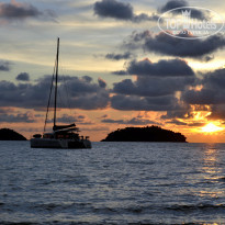 фото из отзыва ID 2322194